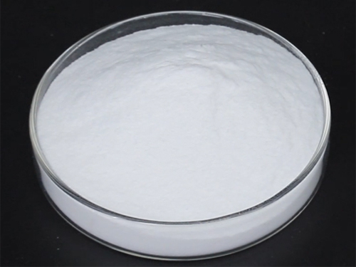 amylaceum