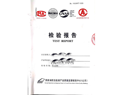 Inspection report